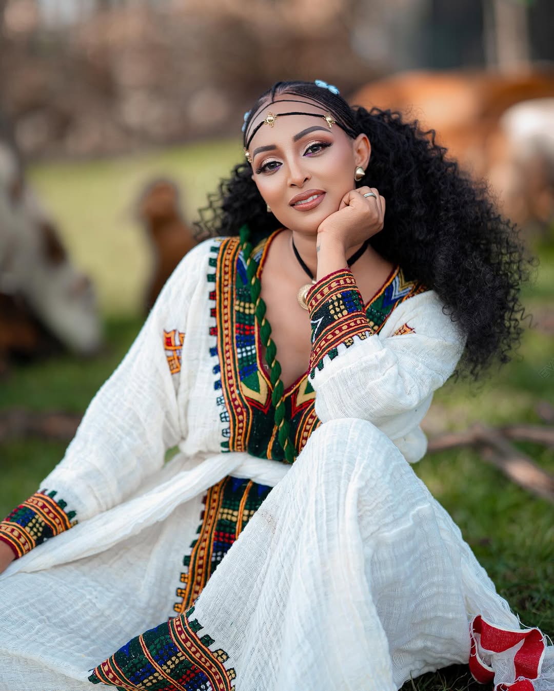 Royal Habesha Kemis Handwoven Multicolor Tibeb Ethiopian Clothing Traditional Habesha Dress 0047