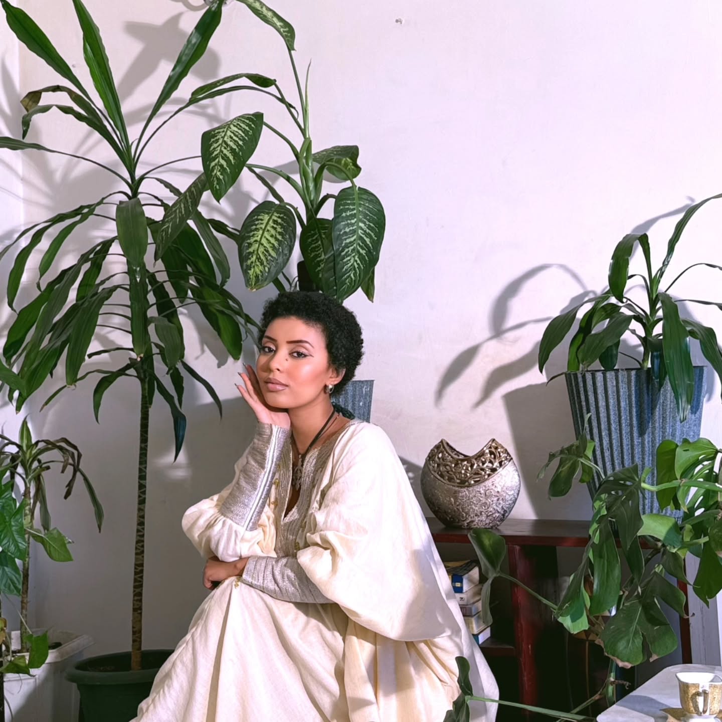 Graceful Habesha Kemis Traditional Ethiopian Dress Habesha Dress For Event 224