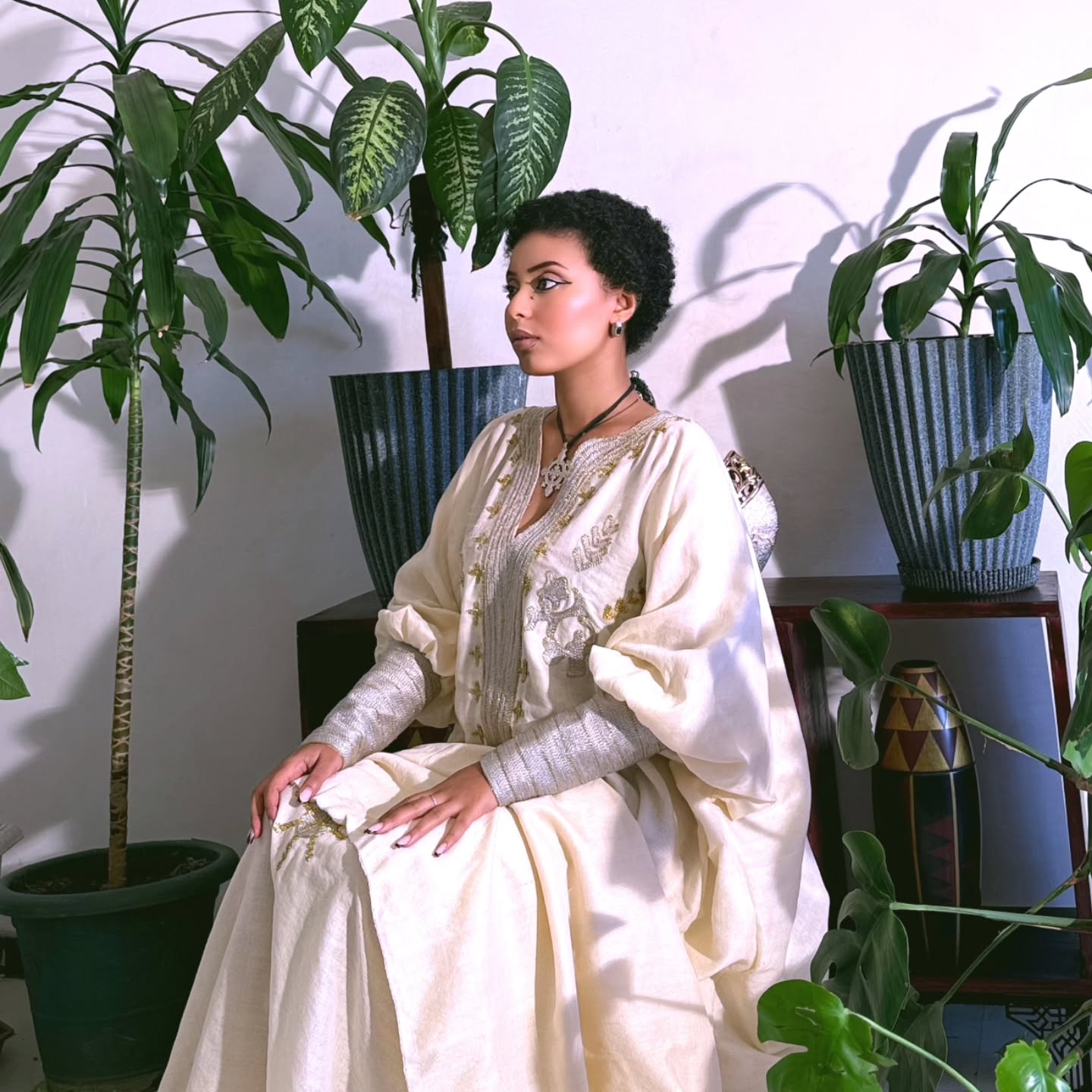 Graceful Habesha Kemis Traditional Ethiopian Dress Habesha Dress For Event 224