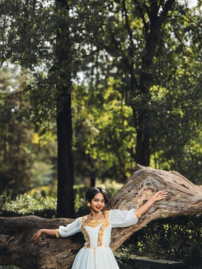 Luxury Habesha Dress for Women Handcrafted Ethiopian Clothing Habesha Kemis For Cultural Elegance 234